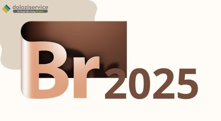 Bridge 2025: Tải NGAY, Trải nghiệm MỚI!