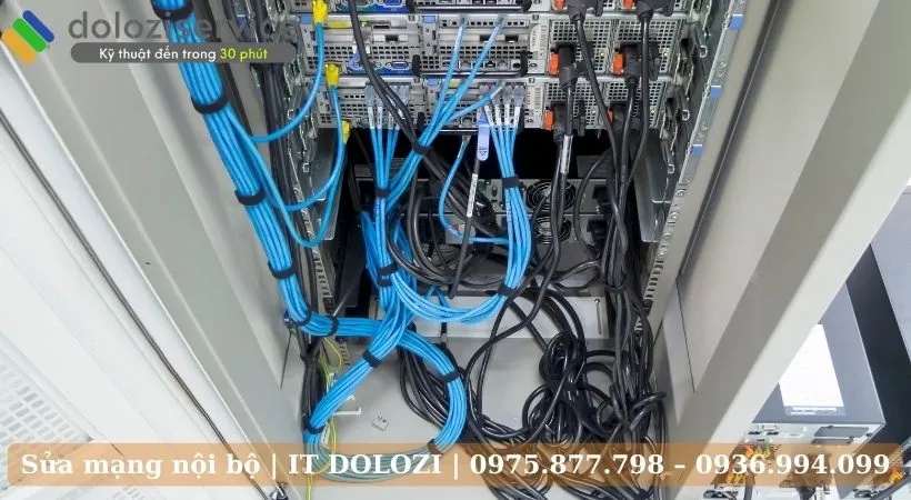 Cam kết khi sửa dụng dịch vụ tại Dolozi.