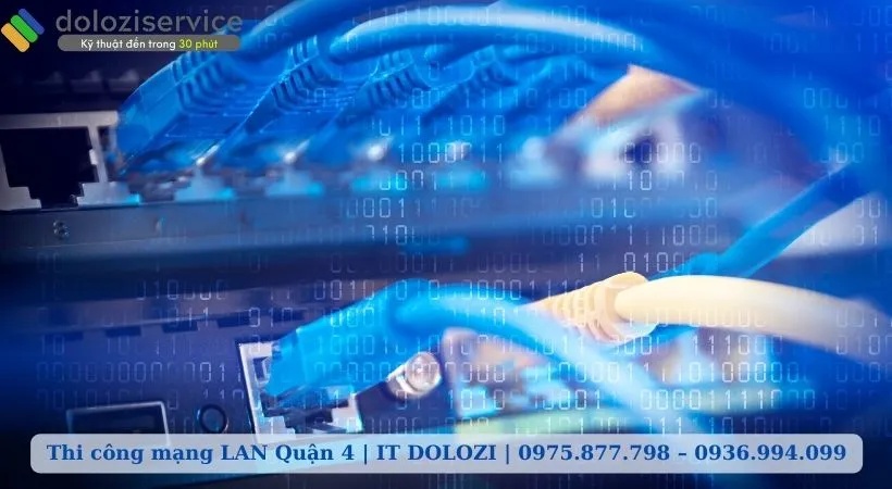 Cam kết từ Dolozi