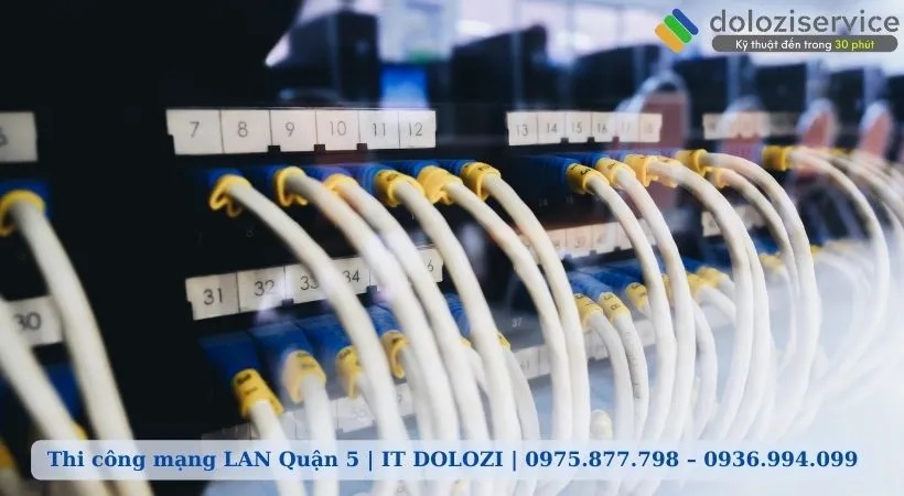 thi công mạng LAN quận 5 thi công mạng LAN quận 5