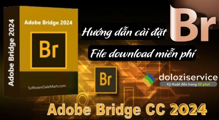Adobe Bridge 2024: Tải Nhanh, Dùng Ngay!