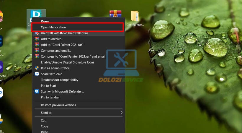 Corel Painter-2021