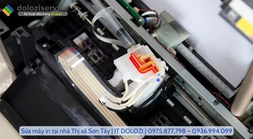 Cam kết dịch vụ tại Dolozi.