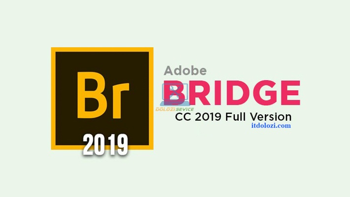 Bridge 2019: Tải Ngay Bản Chính Thức!
