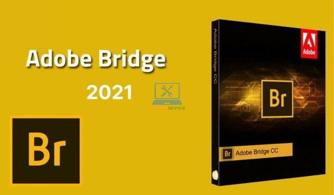 Bridge 2021: Tải Miễn Phí & Trải Nghiệm Ngay!