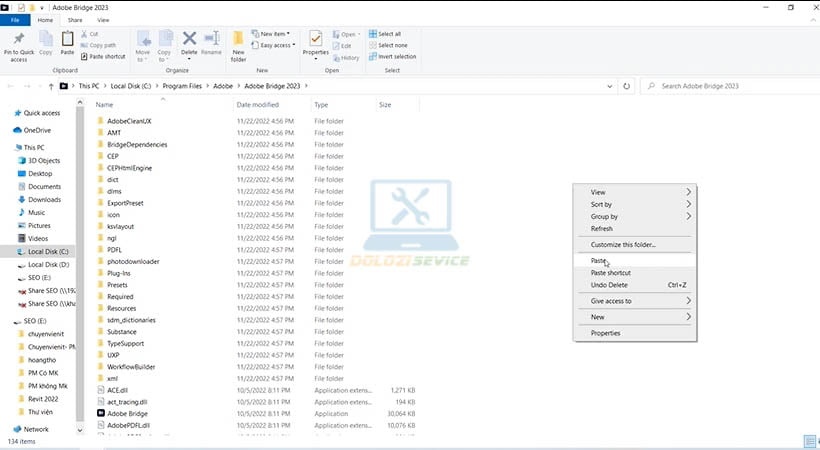 Dán file kích hoạt