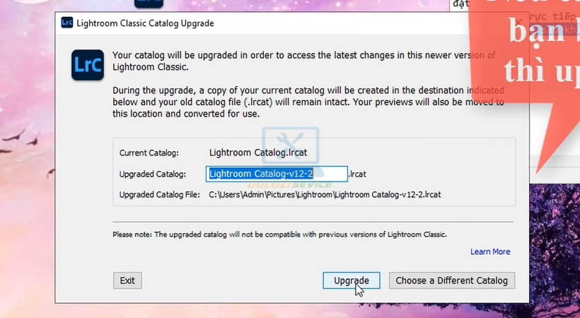 Chọn Upgrade để nâng cấp catalog cho Adobe Lightroom 2023
