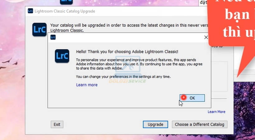 Chọn ok trong quá trình nâng cấp catalog Adobe Lightroom 2023