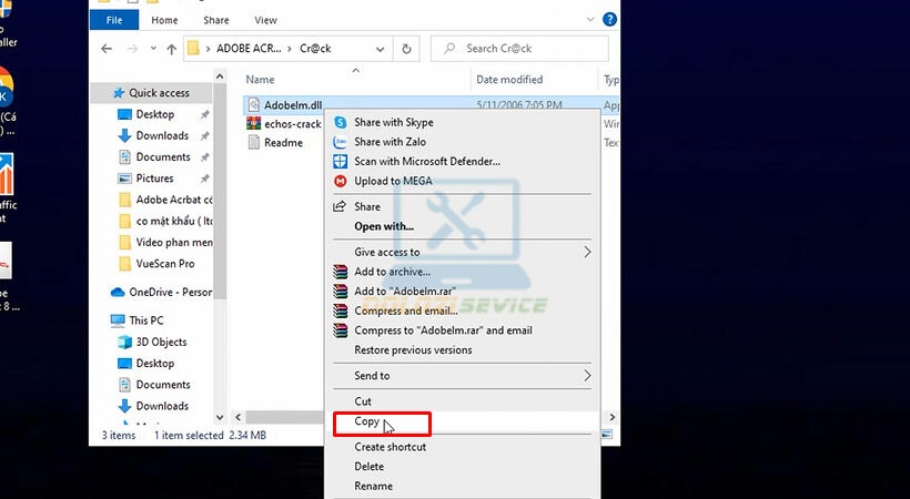 Mở File Crack như hình sau đó Copy.
