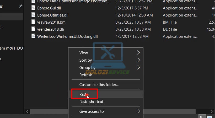 Dán file kích hoạt vào thư mục plugins