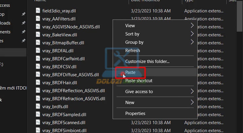 Dán file kích hoạt vào bin/plugins