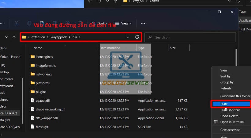 Past file vào thư mục bin