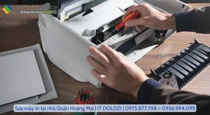 Các dịch vụ tại Dolozi.