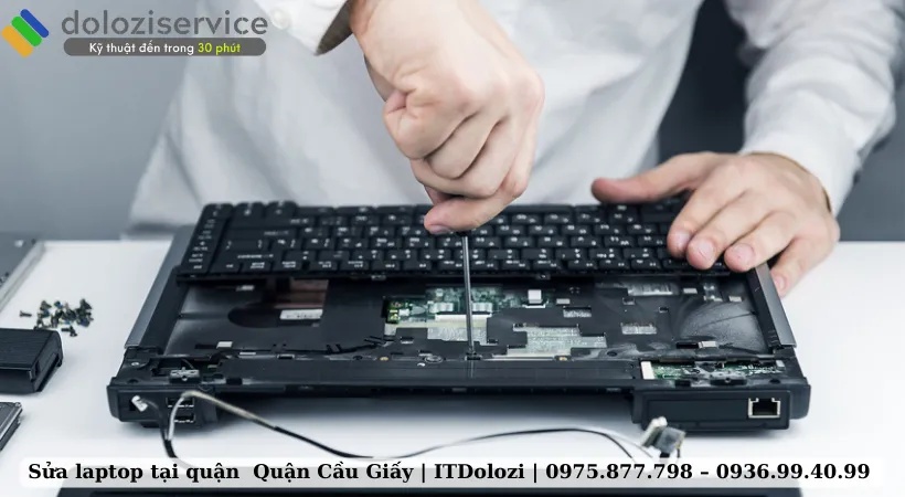 Tại Sao Nên Chọn Dolozi?