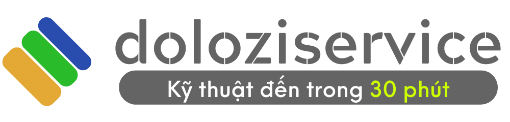 Dolozi Service
