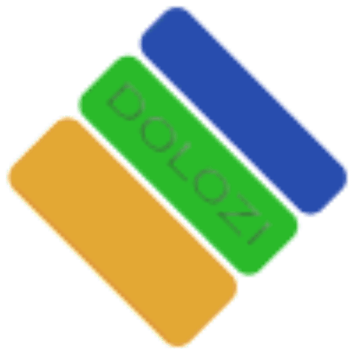 Dolozi Service
